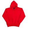 WS Passion Kids Hoodie FL09K 8