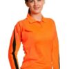 SW34a-large