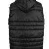 3043-back-hood