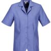 Biz Oasis Plain Ladies Overblouse S265LS 2