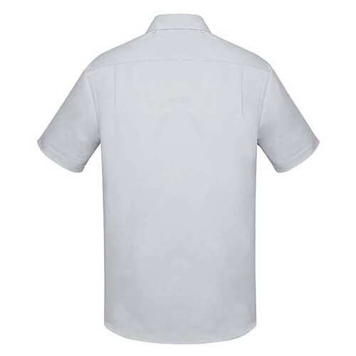 Biz Corporates Charlie Mens Classic Ss Shirt Rs968Ms 21 RS968MS_SilverChambray_B