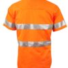 SW59_OrangeNavy_Back