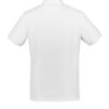 P105MS_White_B