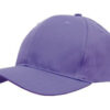 4012_Purple