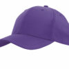 4148_Purple