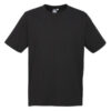 T10012_black