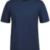 1HT Blue Duck